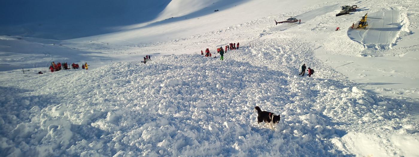 IMG_20231203_152525_838