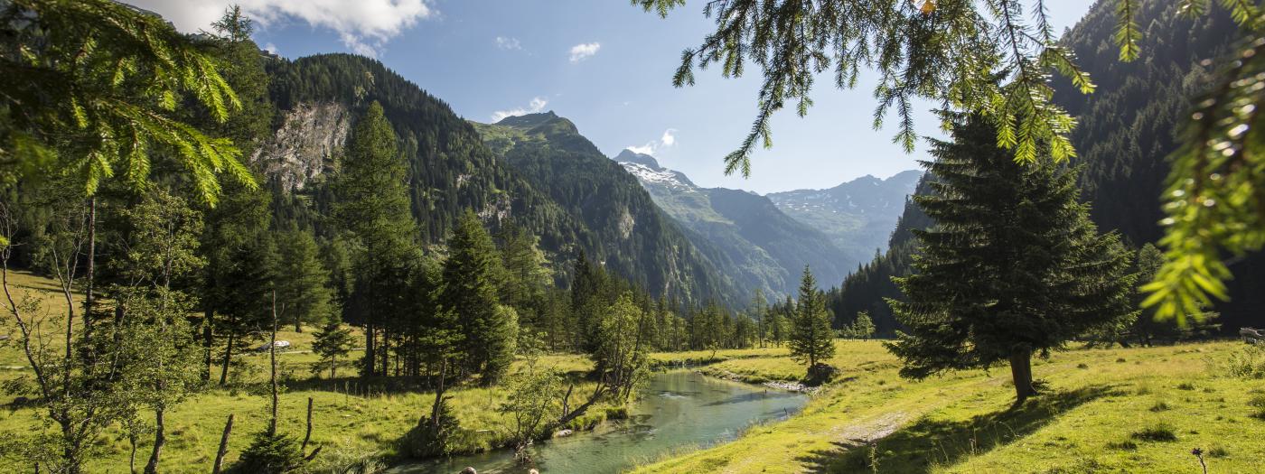 135-15 ©FranzGERDL WANDERHOTELS _7781 135-15 ©FranzGERDL WANDERHOTELS _7781