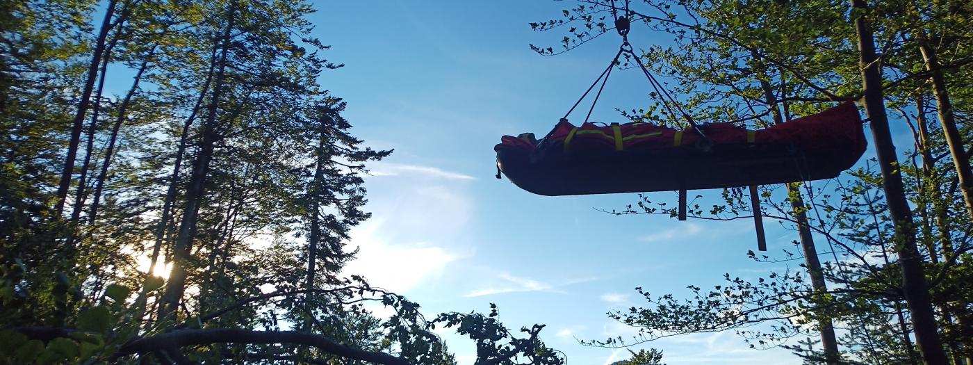 IMG_20240705_191504_026