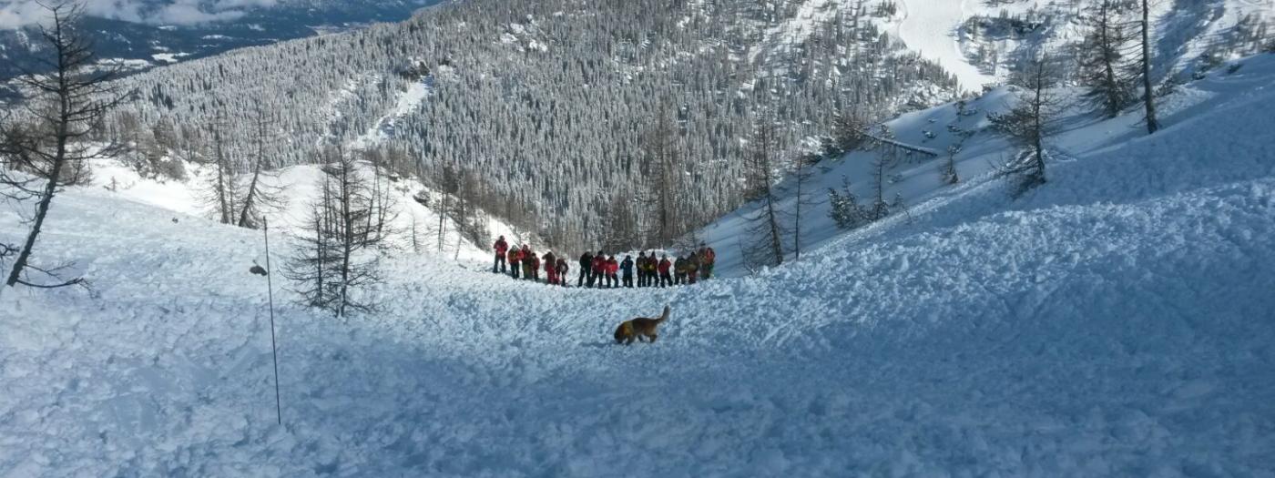 WhatsApp Image 2017-03-02 at 07.37.12 (2) WhatsApp Image 2017-03-02 at 07.37.12 (2)