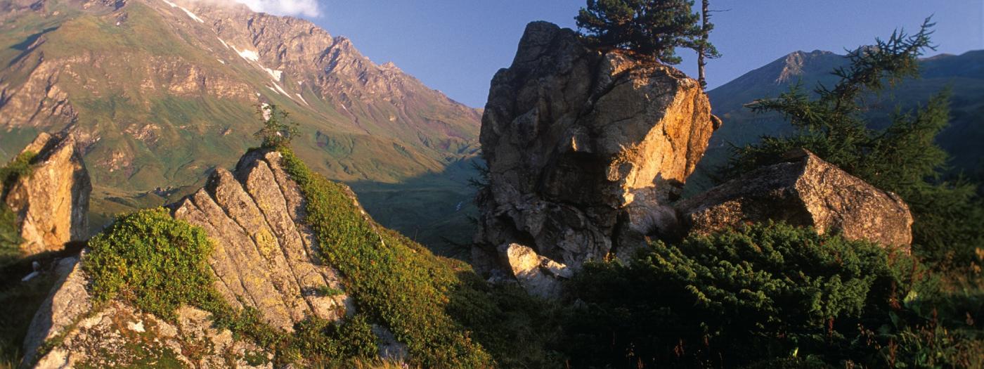 Ferienhotel Alber Mallnitz-Nationalpark, Hohe Tauern, Nationalpark Hohe Tauern- Natursteingarten auf der Jamnig Alm.jpg