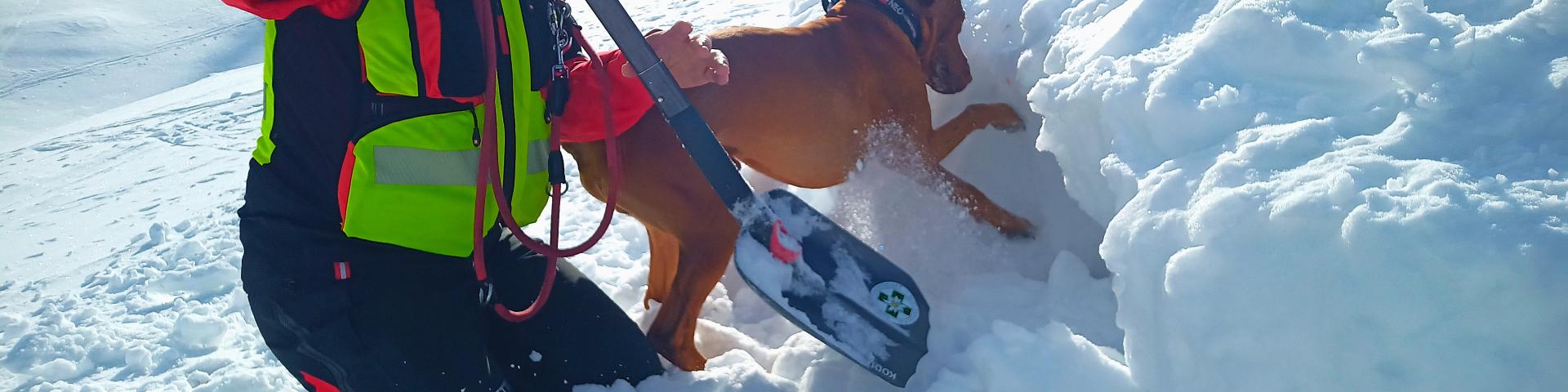 HF_Gert_Hofmann_Hund_Neo@Bergrettung_Kärnten