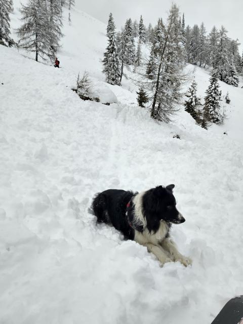 b259390f-d7c0-4c6b-ab1e-f3290aa8f78c