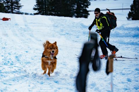 Bergrettung_Winterübung_2026-04040