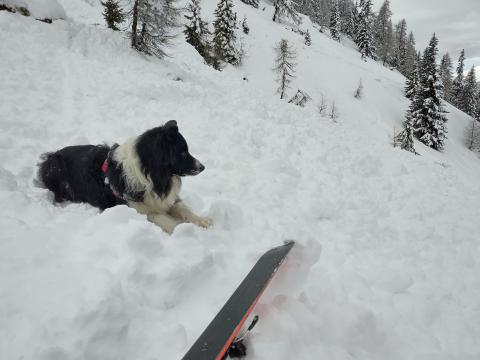 IMG_20260206_100844 (1)