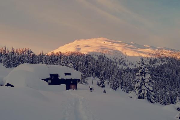 Winklerner Alm 