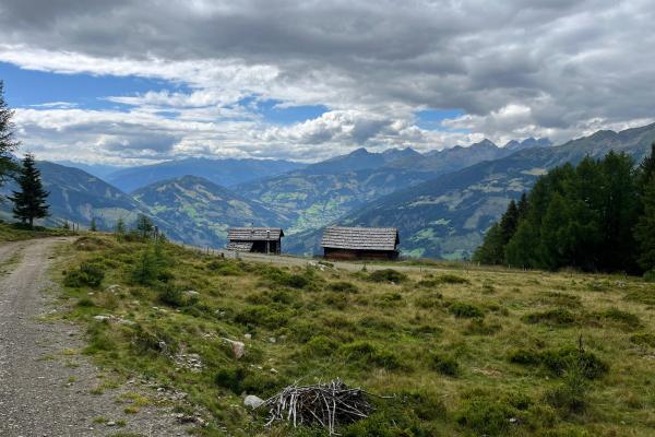 Tresdorfer Feld