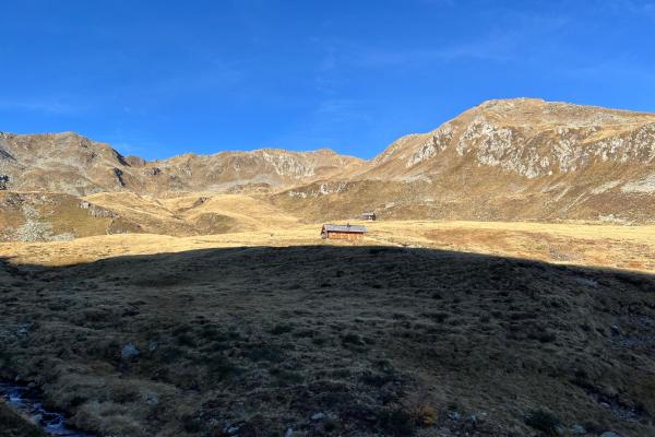 Klenitzen