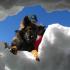 06_03_Lawinenhund 06_03_Lawinenhund