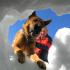 06_02_Lawinenhund 06_02_Lawinenhund