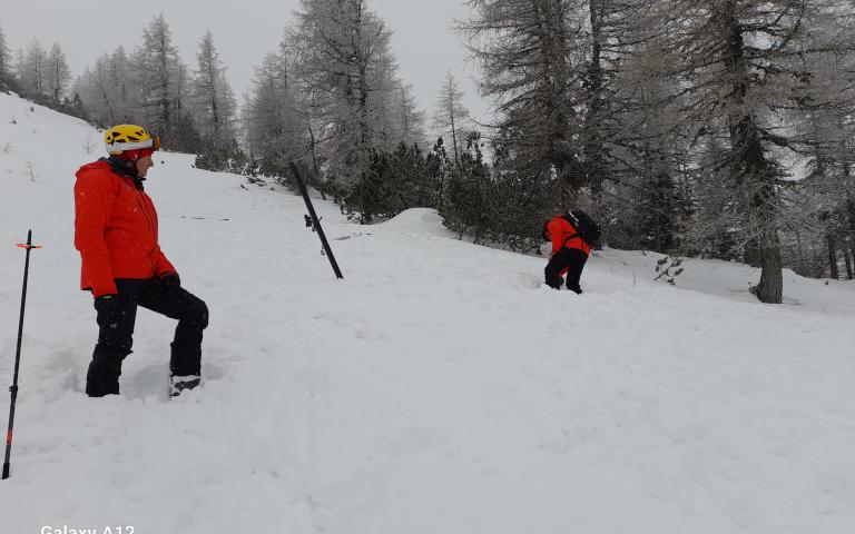 50eb81af-3fd1-4b17-ae35-17fd99dbc2cf