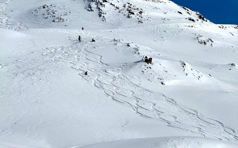 71f7c1d4-1497-482e-b818-d2ef4bf00853