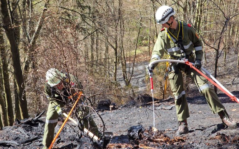 WhatsApp Image 2026-04-08 at 13.37.49