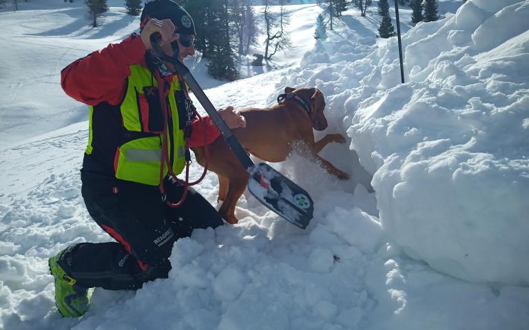 HF_Gert_Hofmann_Hund_Neo@Bergrettung_K&auml;rnten