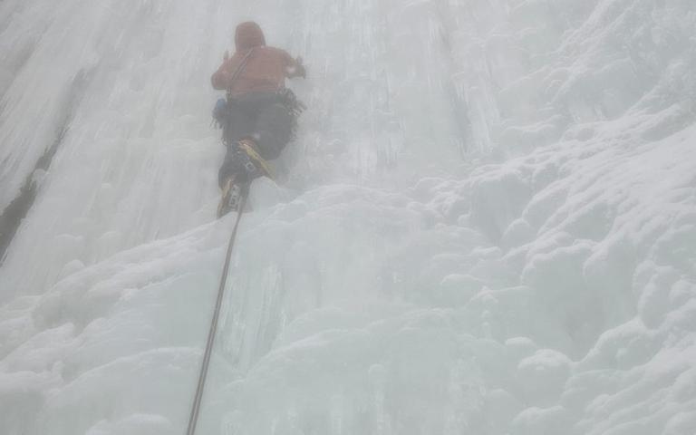 7936e776-3f11-4d1b-8f51-73911c23b4a8