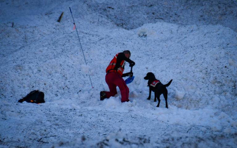 20260406_Hunde&uuml;bung Lesachtal_200@Bergrettung_K&auml;rnten