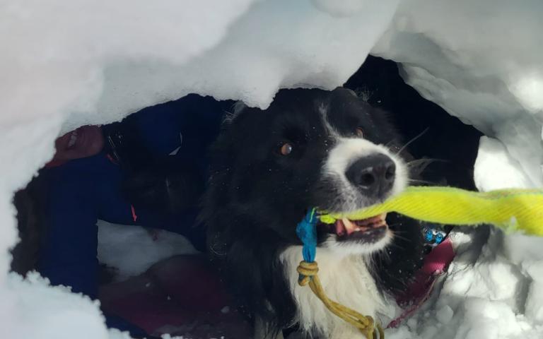 WhatsApp Bild 2025-12-07 um 07.12.28_5491a5ee