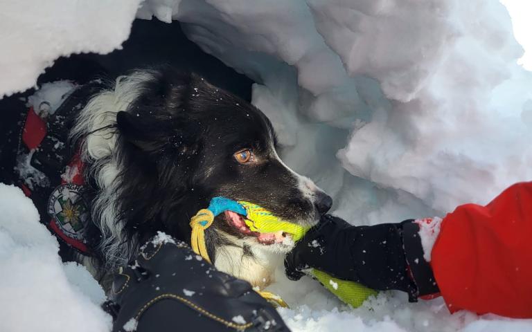 WhatsApp Bild 2025-12-07 um 07.12.29_936cbbff