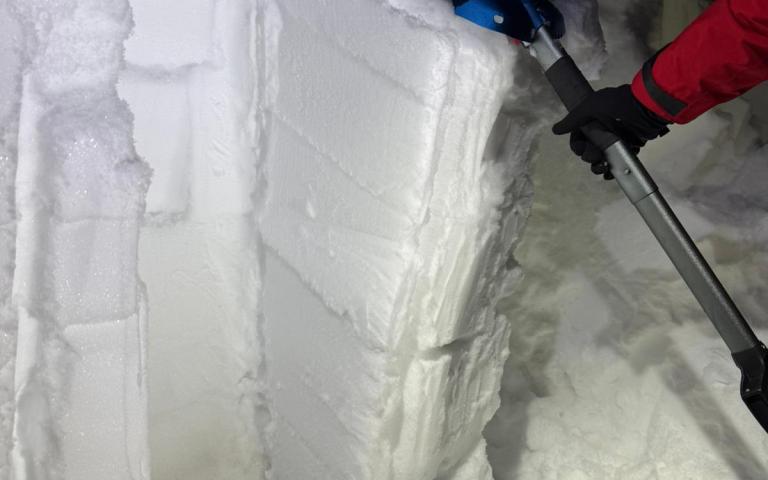 WhatsApp Image 2026-02-06 at 23.17.38