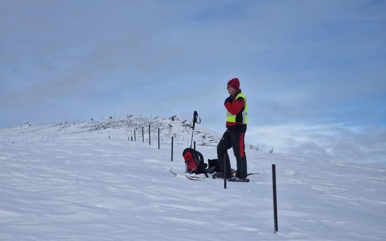 WhatsApp Image 2026-02-14 at 10.34.04 (1)