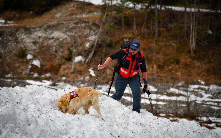 20260406_Hunde&uuml;bung Lesachtal_122@Bergrettung_K&auml;rnten
