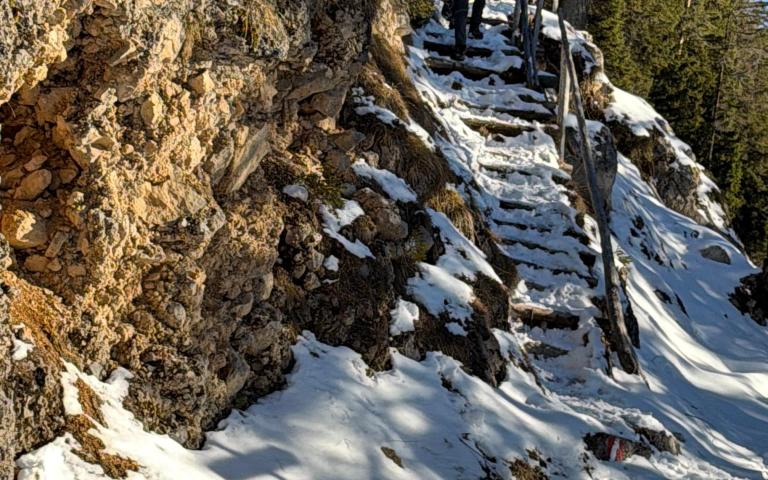 612349f4-24e9-4a4f-9245-596fcba52e6d