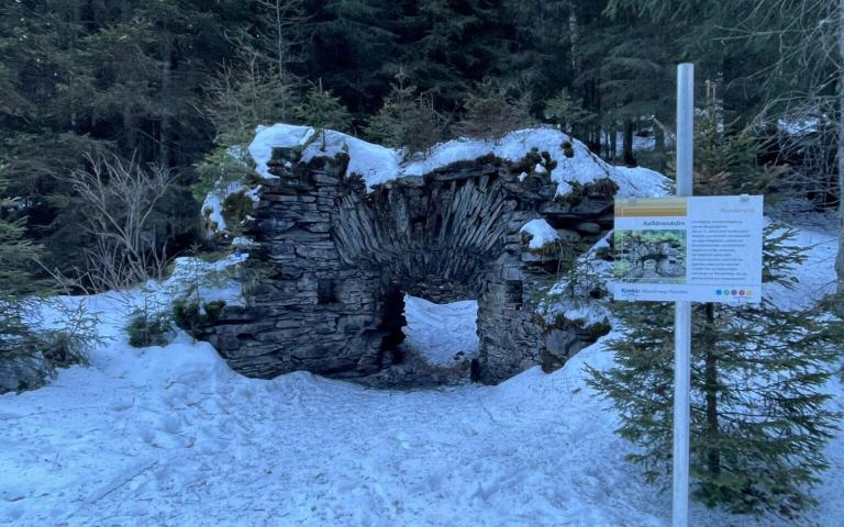 d19e2d56-67a4-4d7a-9a4d-d2053995f74d