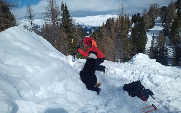 IMG_20240305_105149_263