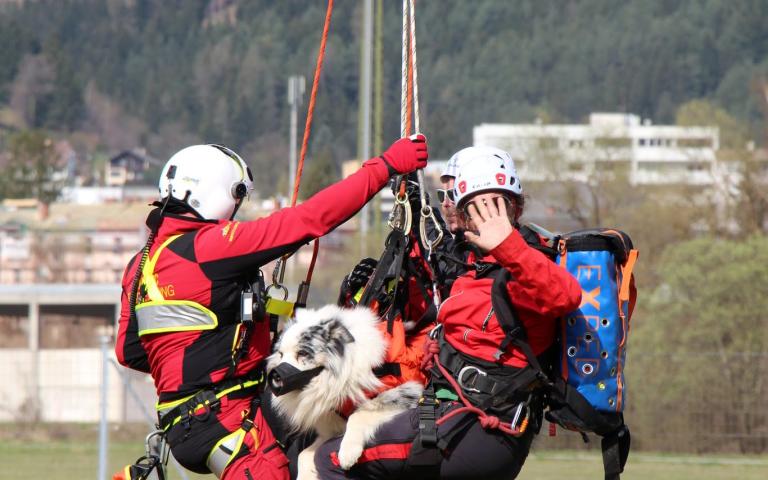 Hunde_Hubschrauber&uuml;bung(320)@Gabi_Broschek-Noisternig