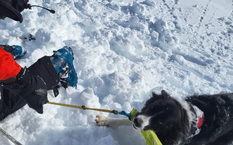 WhatsApp Bild 2025-12-07 um 07.12.30_a8fdcc83