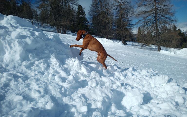 IMG_20240305_100543_4CS