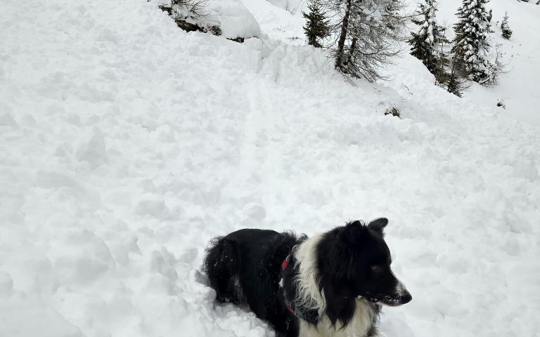 b259390f-d7c0-4c6b-ab1e-f3290aa8f78c