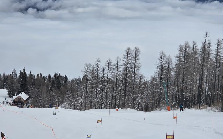 cc138f3c-2dbc-48b2-bb90-e3b5452fd4c3