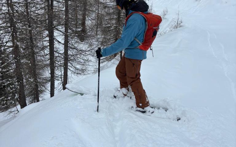 a7d98811-41d7-4966-9e02-1efb70c3f0ee