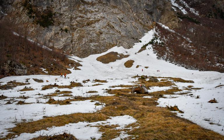 20260406_Hunde&uuml;bung Lesachtal_036@Bergrettung_K&auml;rnten