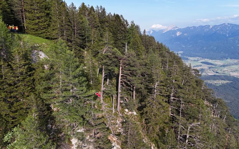 dji_fly_20250606_183100_0742_1749239089557_photo