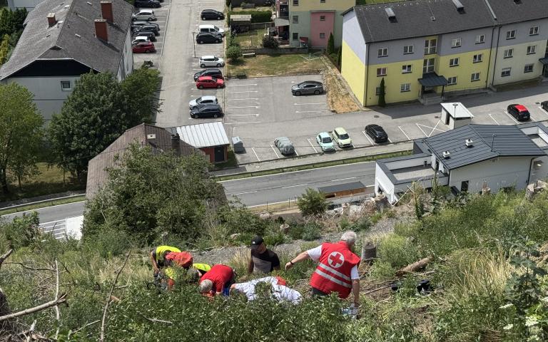 Bild (10)
