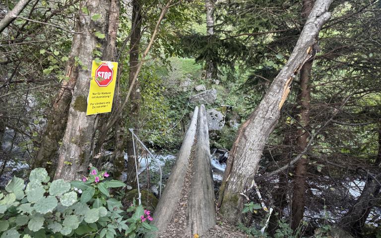 Fallbach (2)