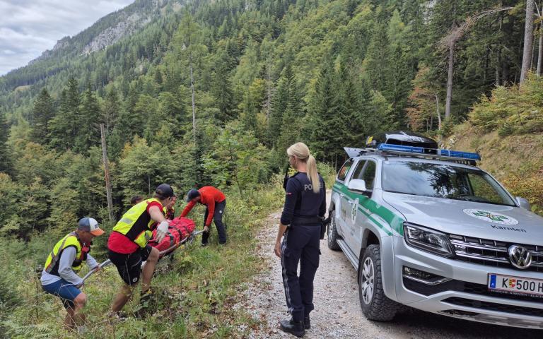 fa1b704c-d6b9-4d11-83d2-90b4e51c0e8e