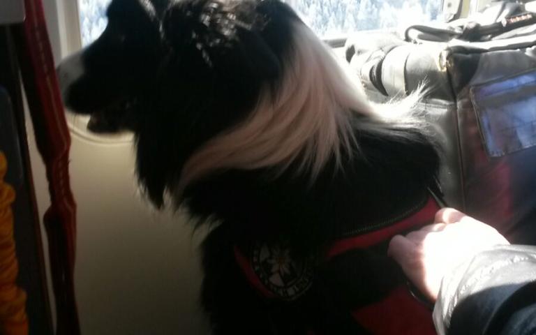 WhatsApp Image 2017-03-01 at 20.13.40