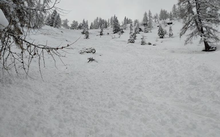 231e3579-b6d9-47cd-b716-c4df3a2fb3b4