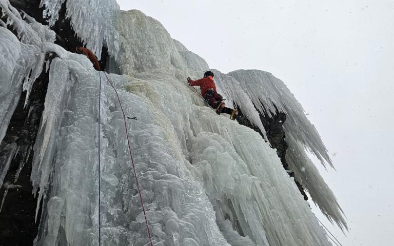 d0bbaa46-4932-4b0e-b9b8-3b596c5fcb6e