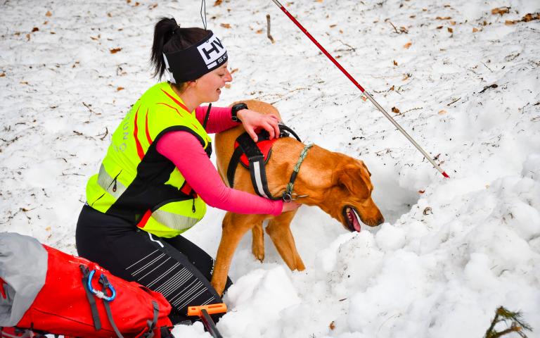 20260406_Hunde&uuml;bung Lesachtal_144@Bergrettung_K&auml;rnten