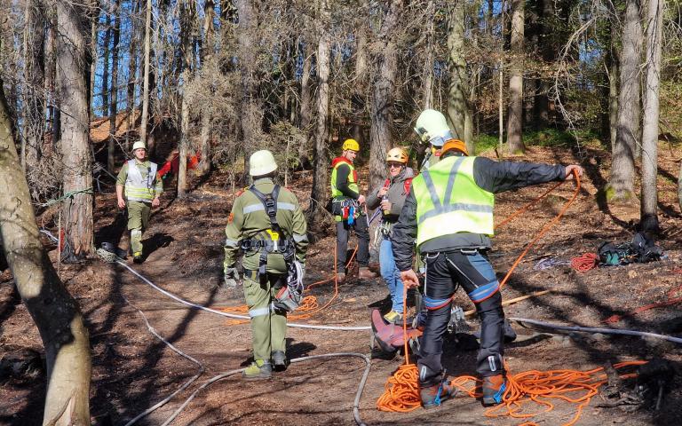 WhatsApp Image 2026-04-08 at 13.37.50