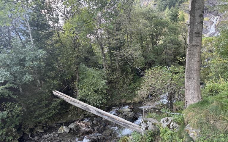 Fallbach (3)