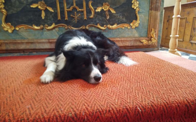 IMG_20240303_151913_033