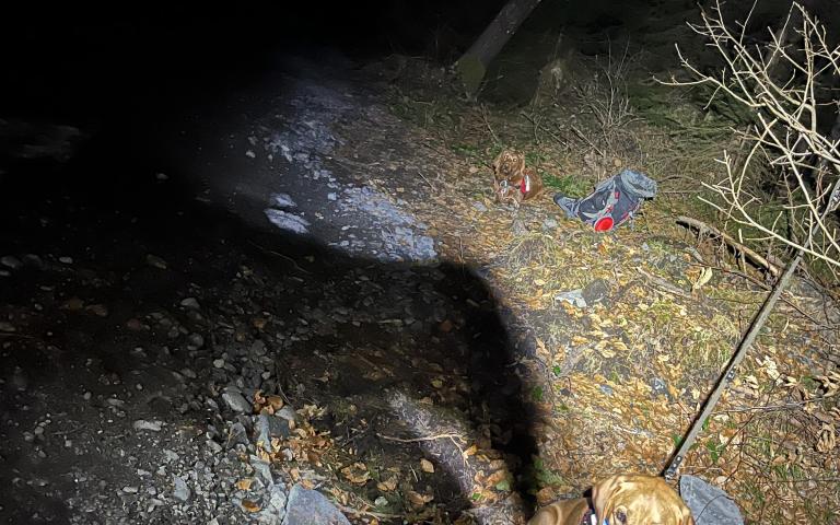 WhatsApp Image 2026-03-27 at 12.03.19 (1)