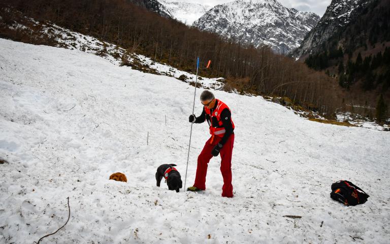 20260406_Hunde&uuml;bung Lesachtal_110@Bergrettung_K&auml;rnten