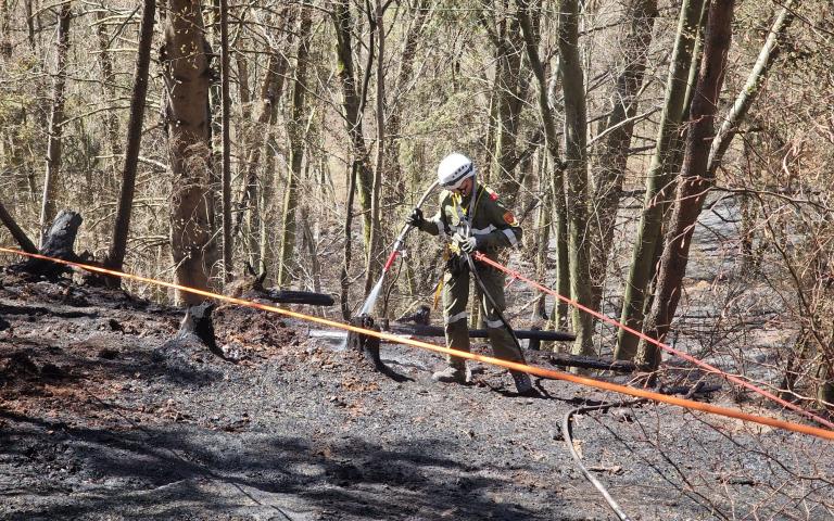 WhatsApp Image 2026-04-08 at 13.37.42