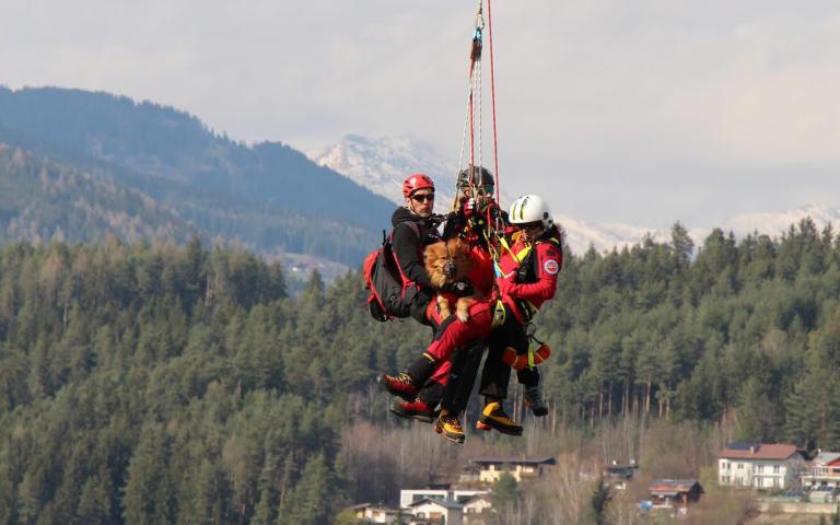 Hunde_Hubschrauber&uuml;bung(426)@Gabi_Broschek-Noisternig